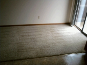 AptAfter1 Carpet Cleaning
