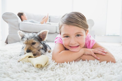 Carpet-Cleaning-Belton-MO-Blog-Post-3-9 Carpet Cleaning in Belton, MO - How it Benefits You