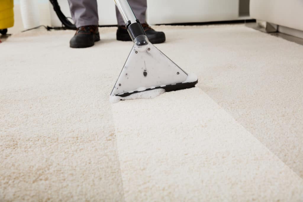 Depositphotos_139880308_original-1024x683 Carpet Cleaning