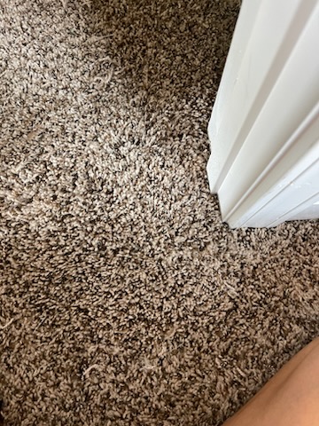 IMG_4705 Carpet Repair